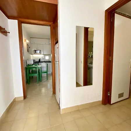 Cozy In Flamboyan Apartment San Bartolome de Tirajana (Gran Canaria)